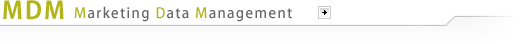 MDM(Marketing Data Management)